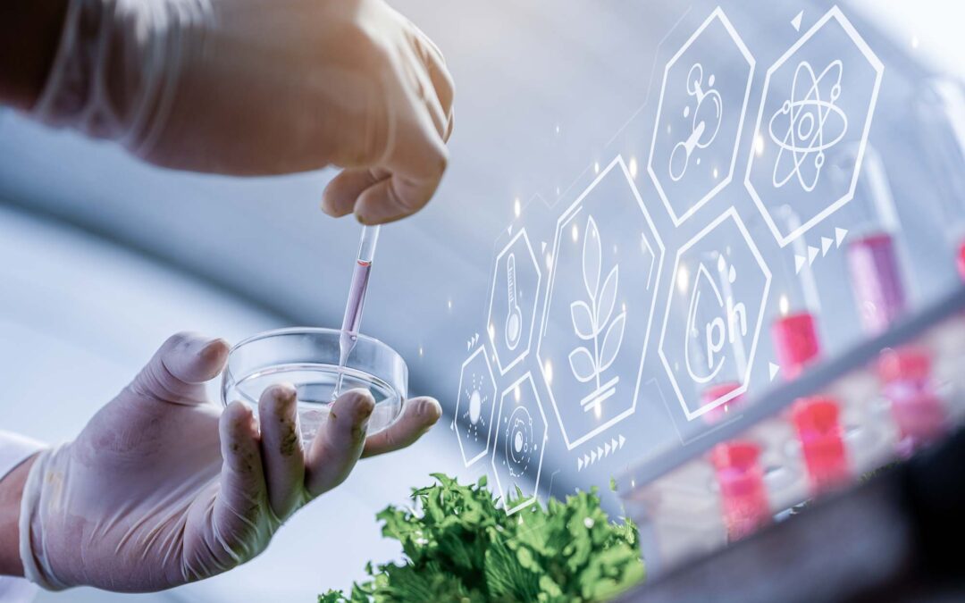 Consulenza Sicurezza Alimentare FSSC 22000