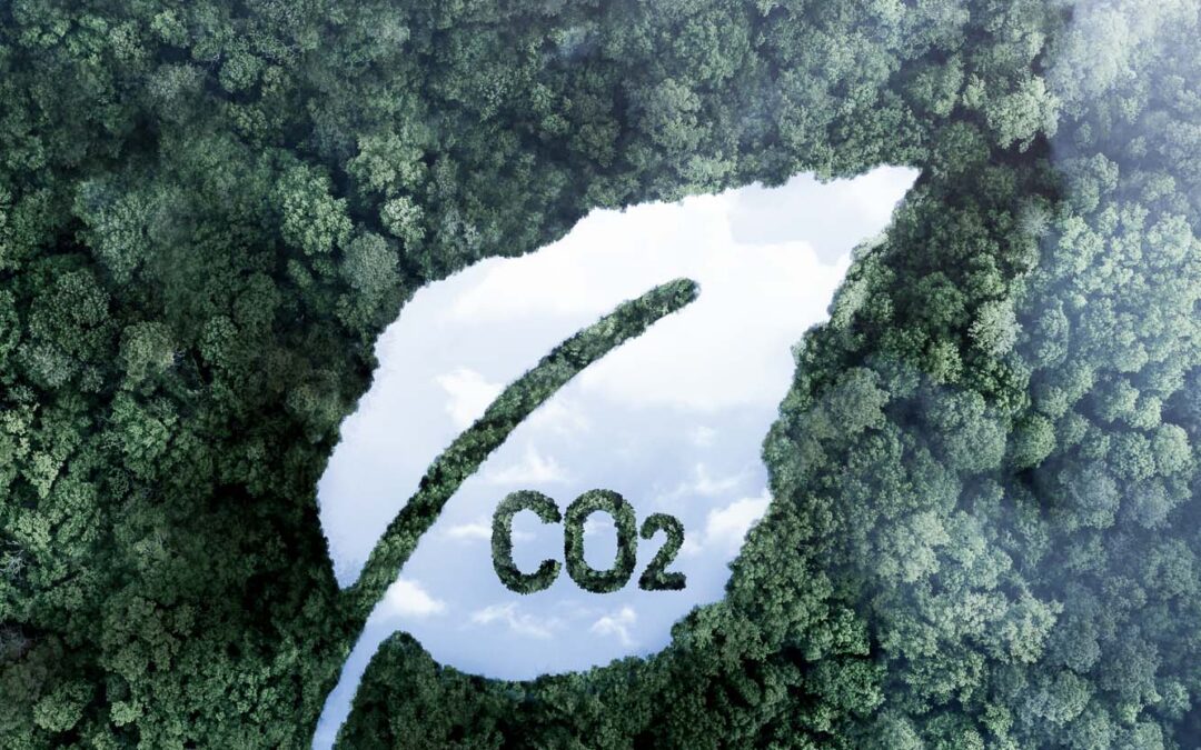 Protocollo GHG: la soluzione completa per la gestione delle emissioni